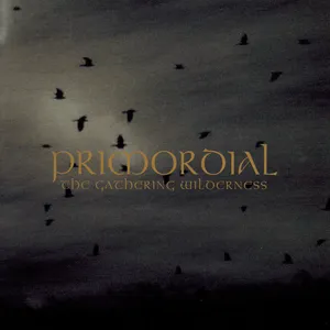 The gathering wilderness